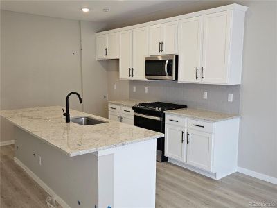 New construction Townhouse house 9632 Browns Peak Circle, Littleton, CO 80125 Early Colorado- photo 21 21