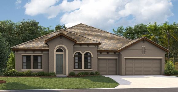 New construction Single-Family house 12832 Twin Bridges Drive, Riverview, FL 33579 - photo 8 8