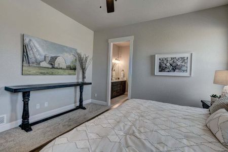 New construction Townhouse house 6248 Vernazza Way, Windsor, CO 80550 - photo 43 43