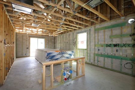 New construction Single-Family house 2868 Misty Marble Drive, Zephyrhills, FL 33540 Herrera- photo 50 50