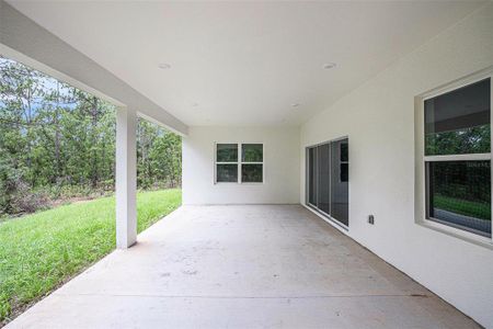 New construction Single-Family house 367 W Maffet Place, Citrus Springs, FL 34434 Preston- photo 21 21