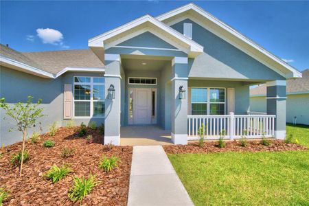 New construction Single-Family house 4081 Tullamore Lane, Auburndale, FL 33823 2508- photo 0 0