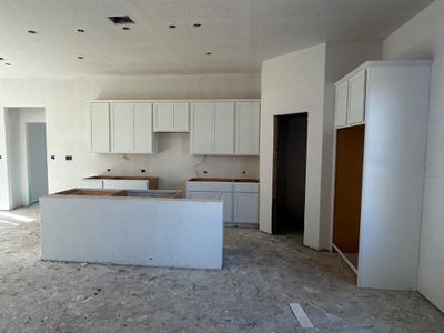 New construction Single-Family house 1200 Golden Bird St, Georgetown, TX 78628 Cheyenne- photo 3 3