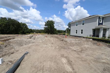 New construction Single-Family house 9635 Crescent Ray Drive, Wesley Chapel, FL 33545 Mira Lago- photo 0