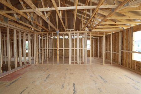 New construction Single-Family house 31823 Sapna Chime Drive, Wesley Chapel, FL 33545 Mira Lago- photo 16 16