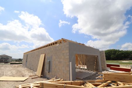 New construction Single-Family house 31810 Sapna Chime Drive, Wesley Chapel, FL 33545 Mira Lago- photo 3 3