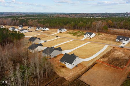 New construction Single-Family house 143 Andrews Landing, Wendell, NC 27591 - photo 23 23