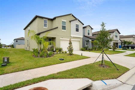 New construction Single-Family house 17935 Blissful Star Drive, Lutz, FL 33558 - photo 1 1