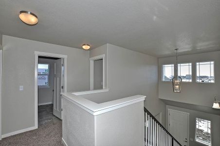 New construction Single-Family house 6302 2nd Street, Greeley, CO 80634 - photo 33 33