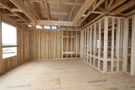 New construction Single-Family house 12114 Hilltop Farms Drive, Dade City, FL 33525 Alenza- photo 29 29