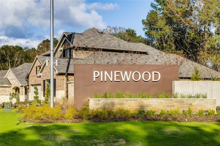 New construction Single-Family house 17117 Pinewood Branch Drive, New Caney, TX 77357 Brenham II- photo 2 2