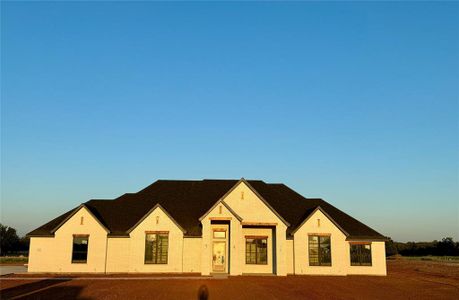 New construction Single-Family house 477 Royal Santana Run, Brock, TX 76087 - photo 0