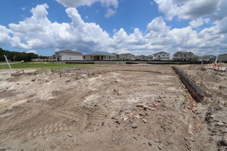New construction Single-Family house 9492 Crescent Ray Drive, Wesley Chapel, FL 33545 Picasso- photo 10 10