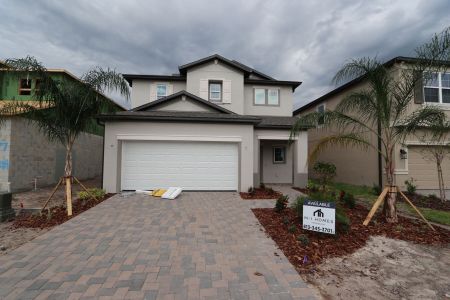 New construction Single-Family house 5238 Currant Street, Lakeland, FL 33811 Marina- photo 64 64