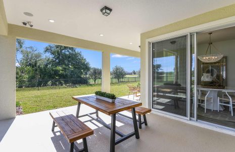 New construction Single-Family house Simmons Ranch Court, Riverview, FL 33578 - photo 24 24