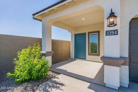 New construction Single-Family house 3394 W Stanton Avenue, Apache Junction, AZ 85120 - photo 3 3
