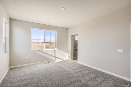 New construction Single-Family house 1336 Brookfield Place, Erie, CO 80026 Larkspur- photo 14 14