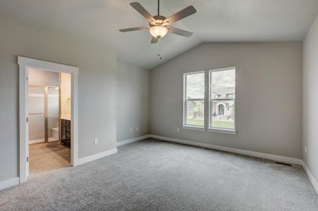 New construction Townhouse house 6248 Vernazza Way, Windsor, CO 80550 - photo 57 57
