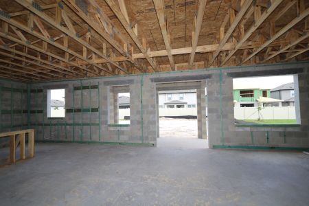New construction Single-Family house 9358 Crescent Ray Drive, Wesley Chapel, FL 33545 Renau- photo 19 19