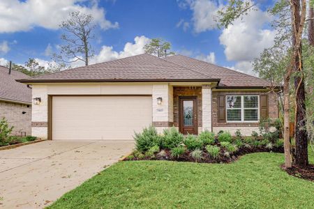 New construction Single-Family house 29023 Pine Forest Drive, Magnolia, TX 77355 Plan Unknown- photo 0 0