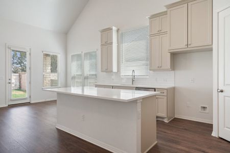 New construction Single-Family house 1432 Cardinal Lane, Round Rock, TX 78681 Trinity- photo 5 5