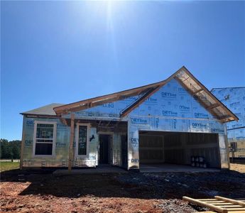 New construction Single-Family house 109 Cherry Glen Way, Euharlee, GA 30120 DaVinci- photo 4 4