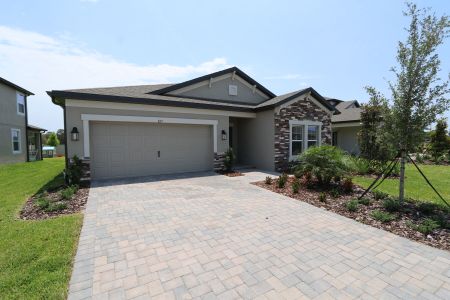 New construction Single-Family house 837 Hillshire Place, Spring Hill, FL 34609 Marque- photo 13 13