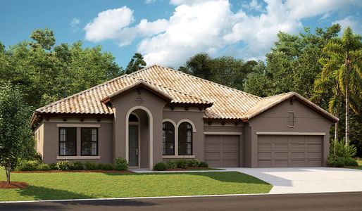New construction Single-Family house 10517 Meadowrun Drive, Lithia, FL 33547 - photo 3 3