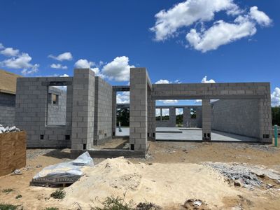 New construction Single-Family house 16887 Muskgrass Drive, Winter Garden, FL 34787 Newport - Cottage Collection- photo 14 14