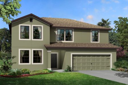 New construction Single-Family house Salinas, 4814 Foxglove Circle, Lakeland, FL 33811 - photo