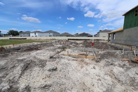 New construction Single-Family house 31823 Sapna Chime Drive, Wesley Chapel, FL 33545 Mira Lago- photo 6 6