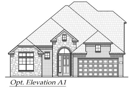 New construction Single-Family house 20253 Dustin Lane, Pflugerville, TX 78660 Owen- photo