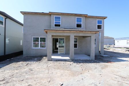 New construction Single-Family house 9358 Crescent Ray Drive, Wesley Chapel, FL 33545 Renau- photo 38 38