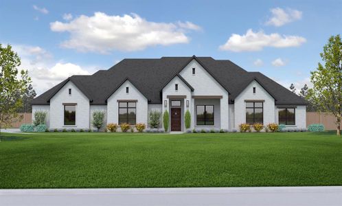 New construction Single-Family house 3009 Codigo Drive, Brock, TX 76088 - photo 0 0