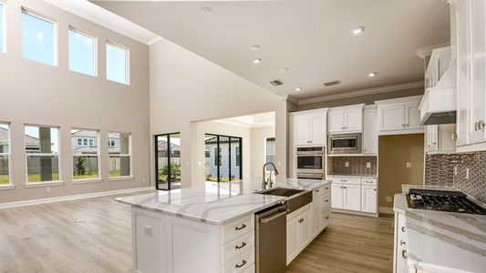 New construction Single-Family house 2526 Meander Cove, Wesley Chapel, FL 33543 - photo 9 9