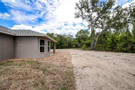 New construction Single-Family house 12262 Greenwood Street, Brooksville, FL 34613 - photo 35 35