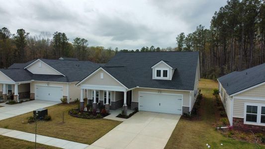New construction Single-Family house 1005 Locals Street, Summerville, SC 29485 - photo 3 3