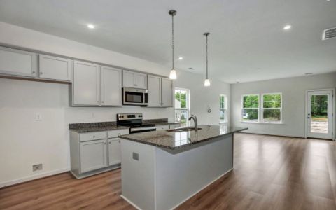 New construction Single-Family house 6529 Winter Spring Drive, Wake Forest, NC 27587 - photo 10 10