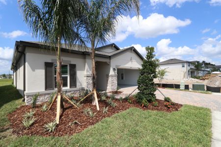 New construction Single-Family house 10709 New Morning Drive, Tampa, FL 33647 Madeira II- photo 23 23