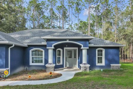 New construction Single-Family house 18441 Sw 75Th Place, Dunnellon, FL 34432 - photo