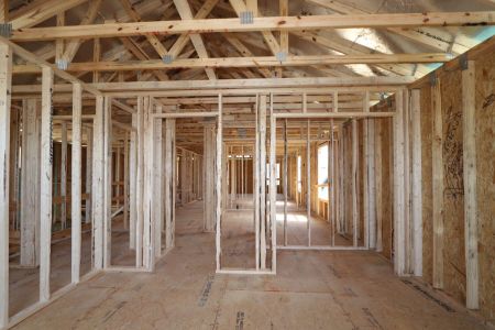 New construction Single-Family house 2852 Misty Marble Drive, Zephyrhills, FL 33540 Castellana- photo 21 21