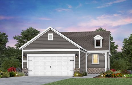 New construction Single-Family house Alpine, 1401 Del Webb Gardens Drive, Fuquay Varina, NC 27526 - photo