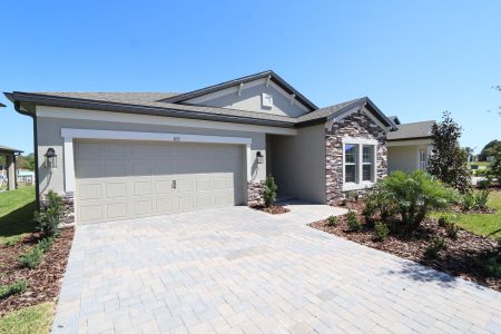 New construction Single-Family house 837 Hillshire Place, Spring Hill, FL 34609 Marque- photo 7 7