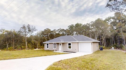 New construction Single-Family house 218 Malauka Run, Ocklawaha, FL 32179 - photo 1 1