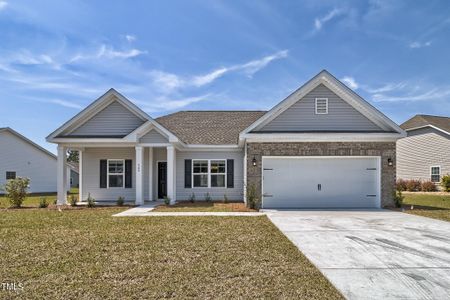 New construction Single-Family house 217 Grand Griffon Way, Lillington, NC 27546 217 Grand Griffon Way- photo 0