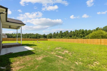 New construction Single-Family house 140 Hazelwood Road, Lillington, NC 27546 Sweetspire- photo 8 8