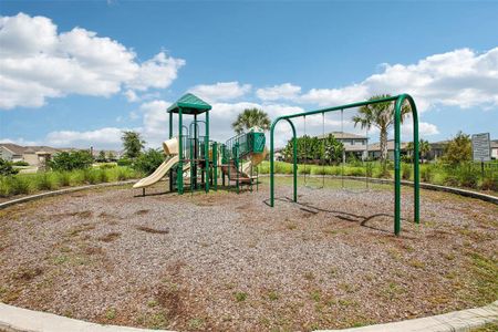 New construction Single-Family house 7187 Heron Walk Lane, Wesley Chapel, FL 33545 - photo 50 50