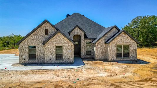 New construction Single-Family house 1005 Churchill Lane, Millsap, TX 76066 - photo 0