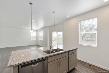 New construction Single-Family house 4525 Cattle Cross Trail, Castle Rock, CO 80104 Holcombe - photo 14 14