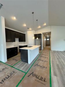 New construction Single-Family house 2358 Drummle Drive, Castle Rock, CO 80104 Breckenridge- photo 7 7